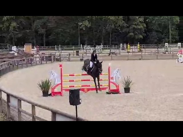 Jument SF &eacute;preuves 1m40 et plus 