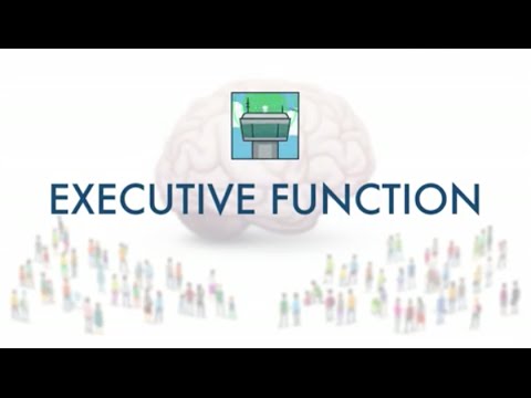 Executive Function