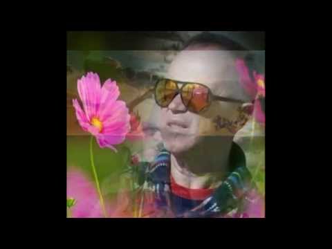 CANE NIKOLOVSKI -  NIKNALO CVEЌЕ ŠARENO