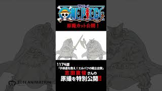 アニメ「#ONEPIECE」見放題配信への追加は木曜日‼️1174話‼️ #onepiece #原撮