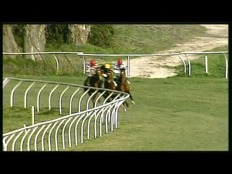 Galoppo 04/02/2020 - 3ª corsa