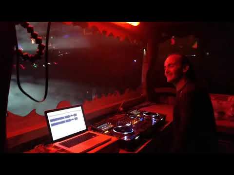 Module Virus Live @Waldfrien Wonderland 2017 (Germany)