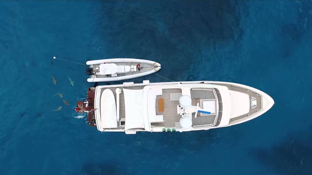 Яхта Acala - Darwin Class 102 в заливе Тигровой акулы