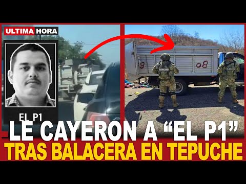 P1 GANG MEMBERS HAVE FALLEN! 7 hitmen KILLED in BRUTAL shootout in Tepuche, Sinaloa