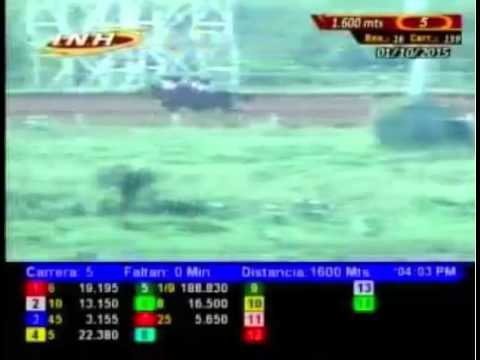 SANTA RITA 5 CARRERA, JUEVES 01 DE OCTUBRE DEL 2015