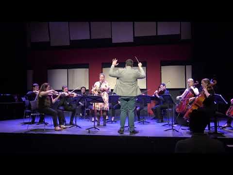 Matthias Hutter: Concerto for Alto - Saxophone and String Orchestra, op. 29