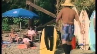 The Beach Boys Surfin' Safari