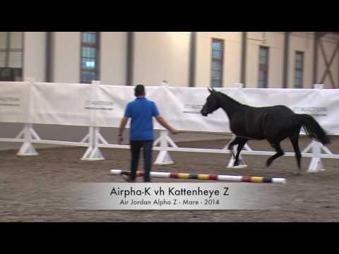 Airpha-K vh Kattenheye Z (Air Jordan Alpha Z x Contender)