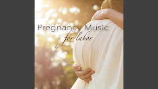 Bagatelle No. 25 in A Minor "Für Elise" (Classics, Piano Music)