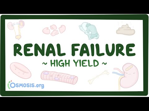 Renal failure: Pathology review