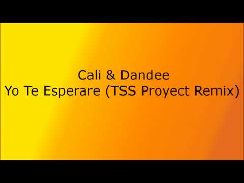 Cali & Dandee - Yo Te Esperare (TSS Proyect Remix)