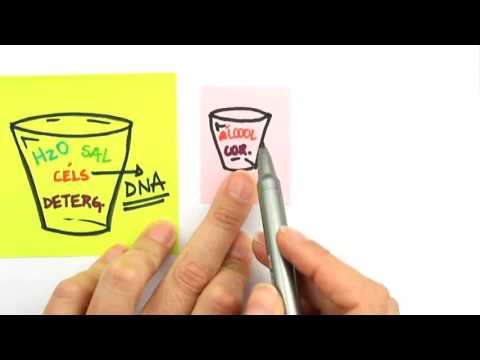 Me Salva! LAB03 - Extraíndo DNA em casa - [Explicação]