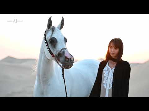 🕊 CA LEENA 🕊 (WH JUSTICE x CA ZASPA), 2010 Mare