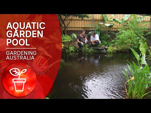 Convert your pool into a pond | DIY Garden Projects | Gardening Australia