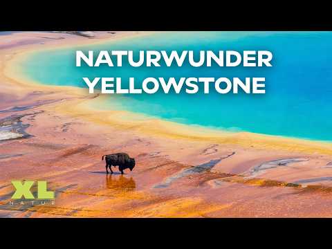 Yellowstone: Der schönste Nationalpark unserer Erde? | XL Naturdoku
