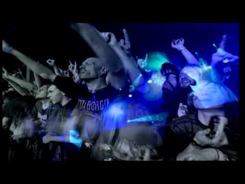 The Insight & The Catharsis video