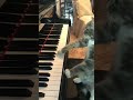 Cat plays Fur Elise on piano