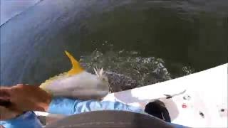 &quot;Chasing Man Glitter&quot; Sight-fishing Topwater Jack Crevalle 1080p