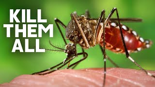 What If We Killed Every Mosquito On Earth?