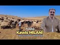 Kawis Milani - Felekē - Dengbeji Yürek Sızlatan Dertli Uzun Hava