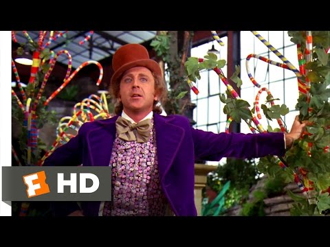 Willy Wonka & the Chocolate Factory - Pure Imagination Scene (4/10) | Movieclips