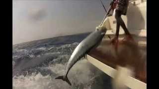 "I Love Fishing & Karamboa"