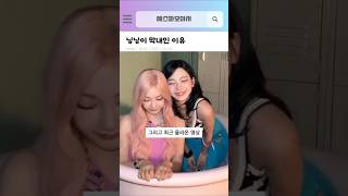 닝닝 고양이 모먼트