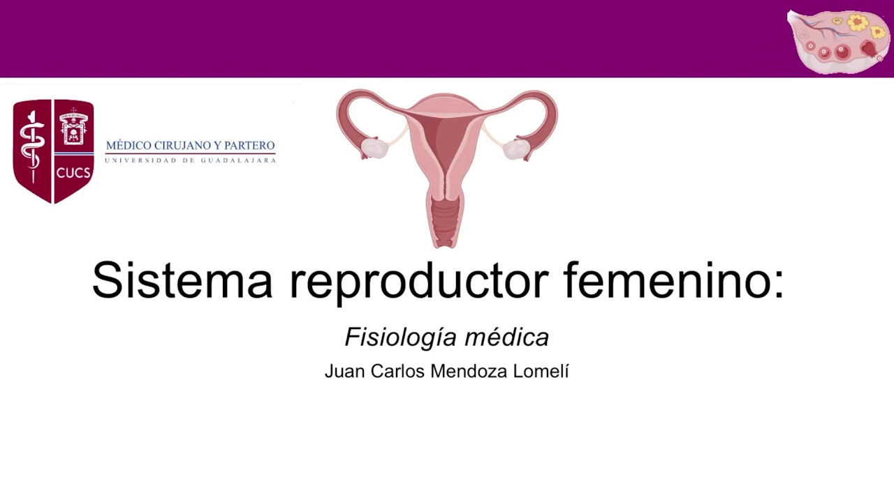 Fisiología del sistema reproductor femenino