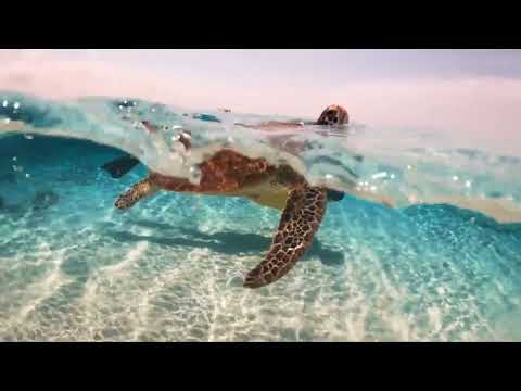 SUMMER VIBEZ x STOKKA SKREWFACE x JAYFORCE