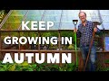 Productive Fall Garden Keep Growing