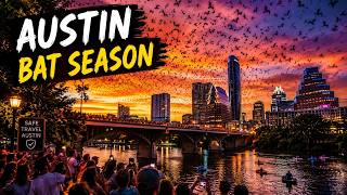 Austin Travel Tips Best Time to Visit Austin Bat Watching Season
