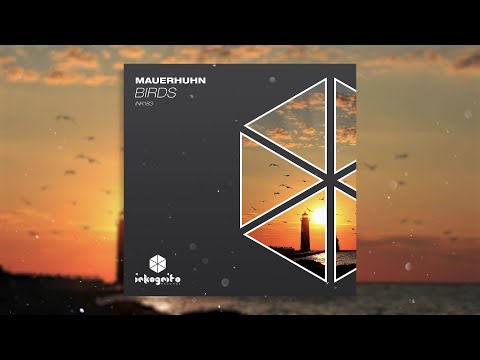 mauerhuhn - Birds [Inkognito Records]