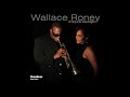 Wallace Roney - If Only for One Night