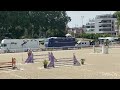 Hongre 6ans kannan x le tot de semilly