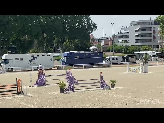 Hongre 6ans kannan x le tot de semilly