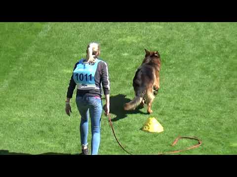 2021 SV BSZS TSB 1011 EZ Tramella Ubak NG