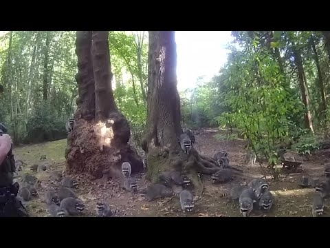 ピーター・シュナイダー:「私は『警察の通報』を聞いて育った」