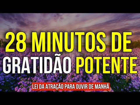 28 MINUTOS DE GRATIDÃO POTENTE