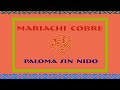 Paloma Sin Nido | Este Es Mi Mariachi