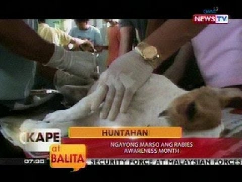 Pagbaba ng timbang sa bahay 2 Huwag pumipinsala para sa pagbaba ng timbang beet
