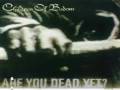 "Bastards Of Bodom" - Children Of Bodom With ...