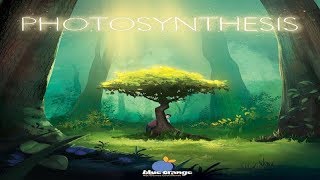 Photosynthesis Runthrough