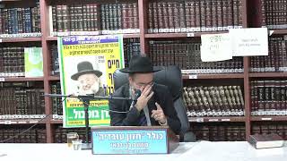 הרב אלמוג לוי : הלכות ארבעת המינים . (כולל חזון עובדיה) - התמונה מוצגת ישירות מתוך אתר האינטרנט יוטיוב. זכויות היוצרים בתמונה שייכות ליוצרה. קישור קרדיט למקור התוכן נמצא בתוך דף הסרטון הרב אלמוג לוי : הלכות ארבעת המינים . (כולל חזון עובדיה) - התמונה מוצגת ישירות מתוך אתר האינטרנט יוטיוב. זכויות היוצרים בתמונה שייכות ליוצרה. קישור קרדיט למקור התוכן נמצא בתוך דף הסרטון