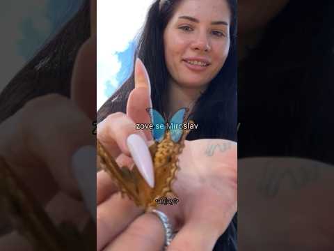 UkiQ POKRALI majmuni‼️🚨(SMESNI momenti sa PUTOVANJA)