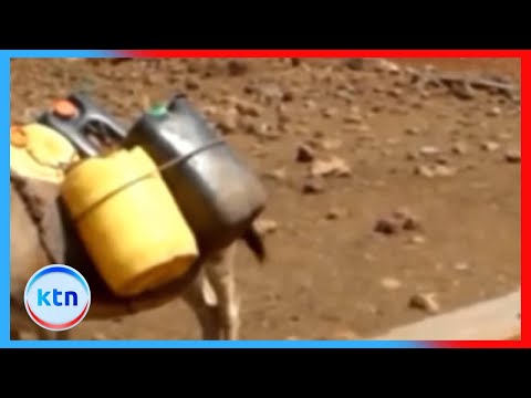 Drought in Meru forces students out of school amid food scarcity