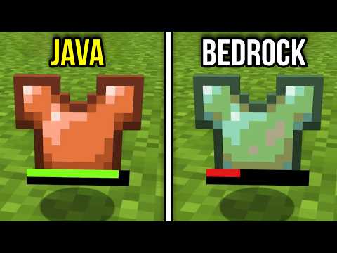 67 Minecraft Java vs Bedrock Things