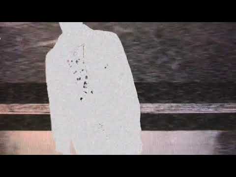 mlody baza - głupi obojętny