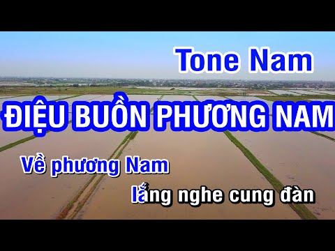Điệu Buồn Phương Nam (Karaoke Beat) - Tone Nam (Am)