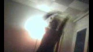 carnivore inner conflict