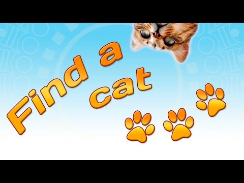Find A Cat 3 Video